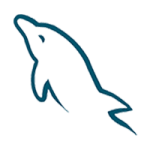 MySQL MySQL
